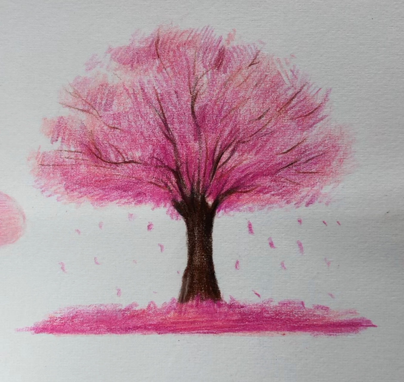 彩铅画桃花树风景图片