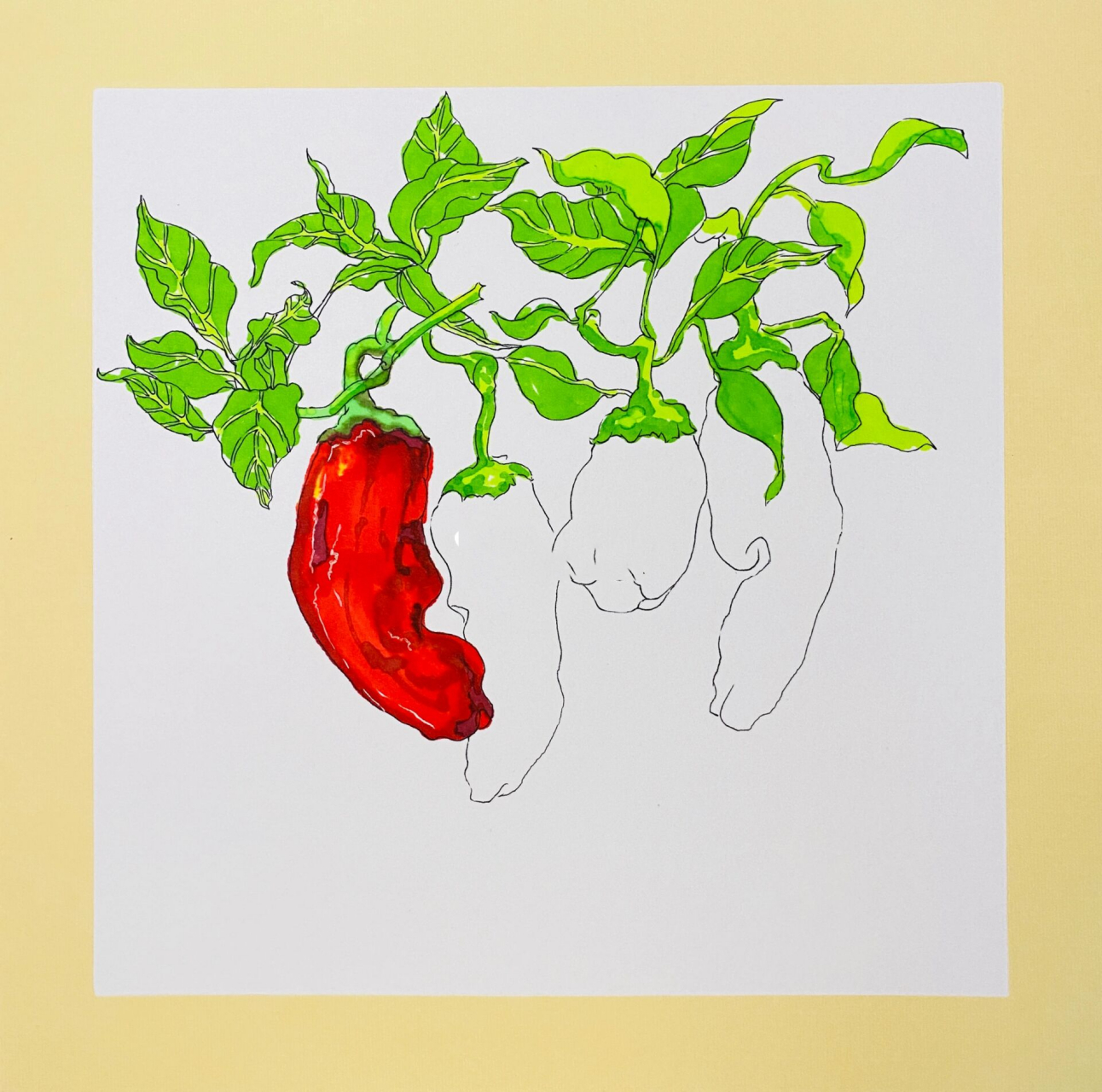 创意美术|《辣椒》