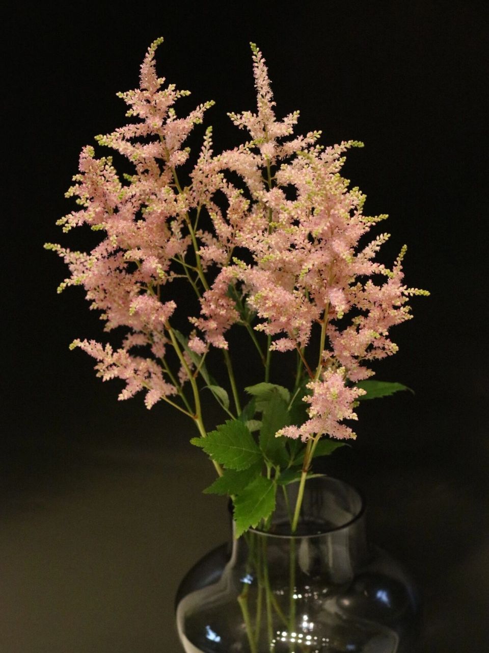 带你识花～络新妇 原名:落新妇 又名:小升麻,术活,马尾参,山花七,阿根