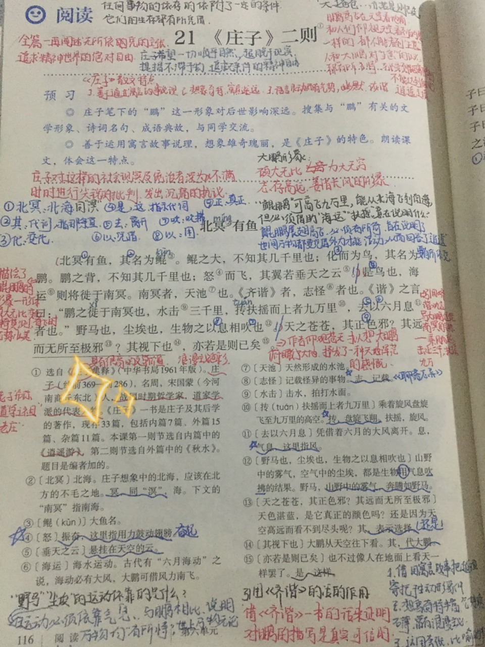 《北冥有鱼》笔记