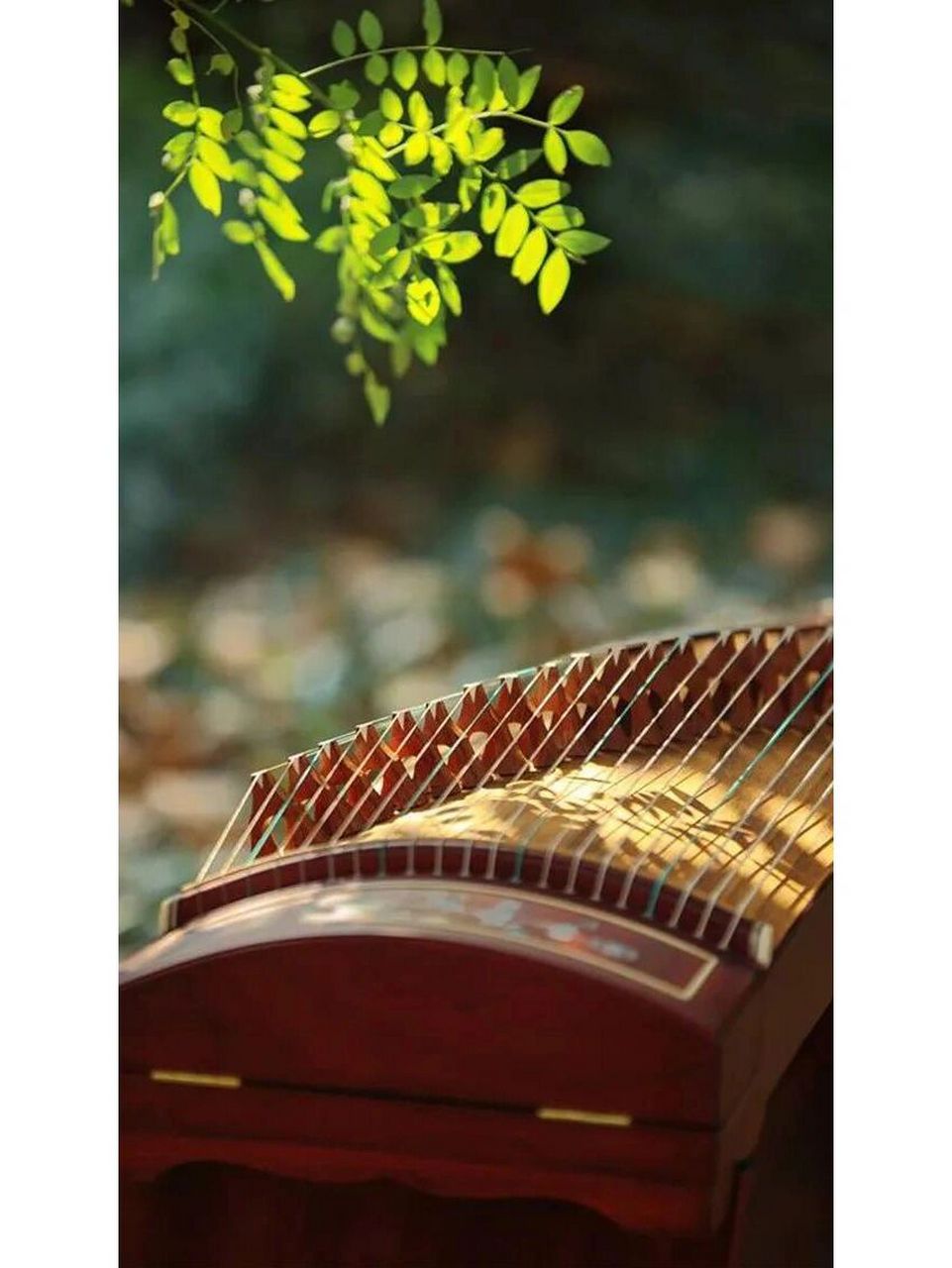 学古筝的利弊有哪些?什么人不适合弹古筝? 古筝可以培养综合能力.时代