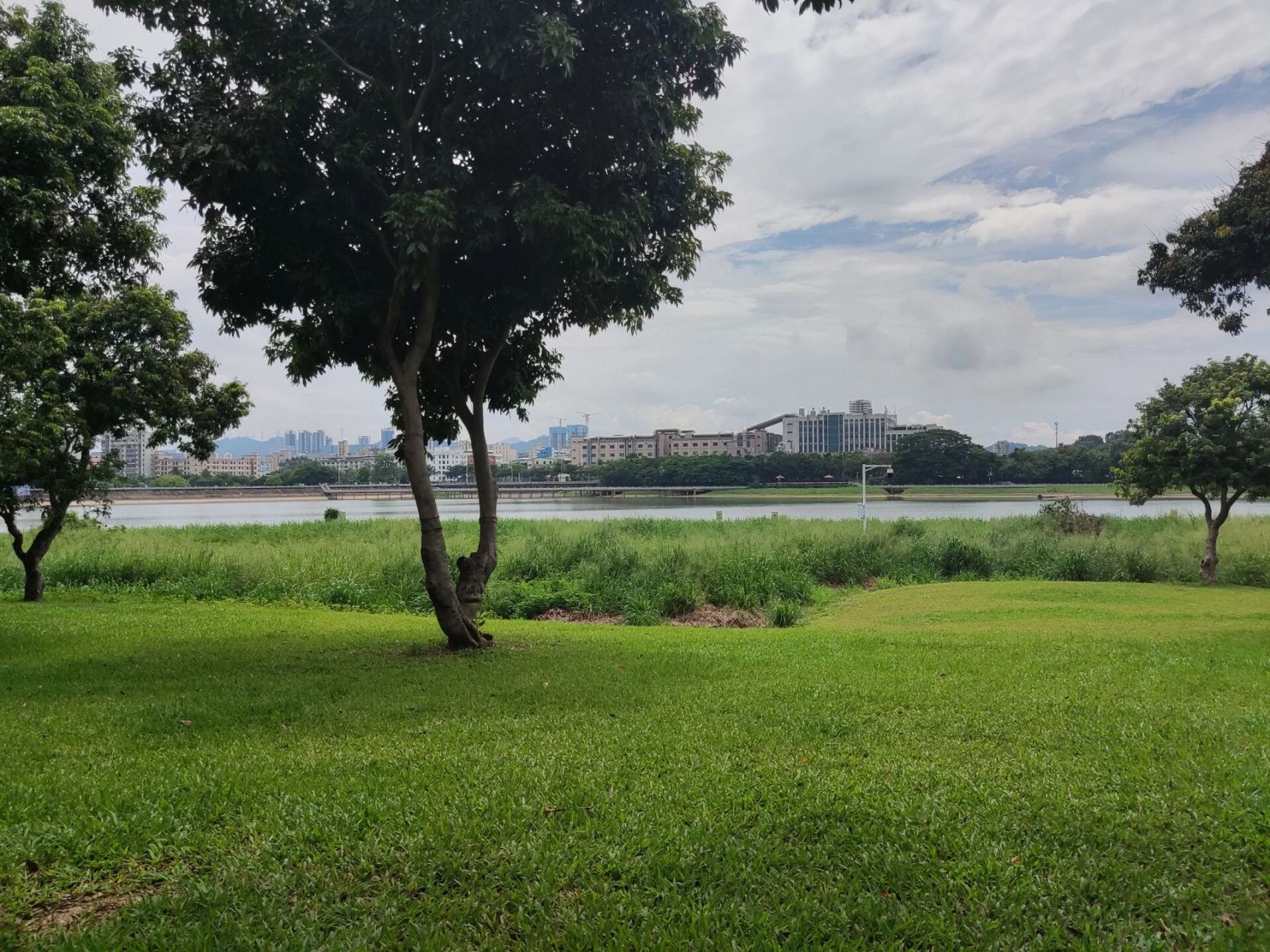 深圳光明区明湖公园坦白局#游玩攻略    1,要看到大草坪,树林,河水