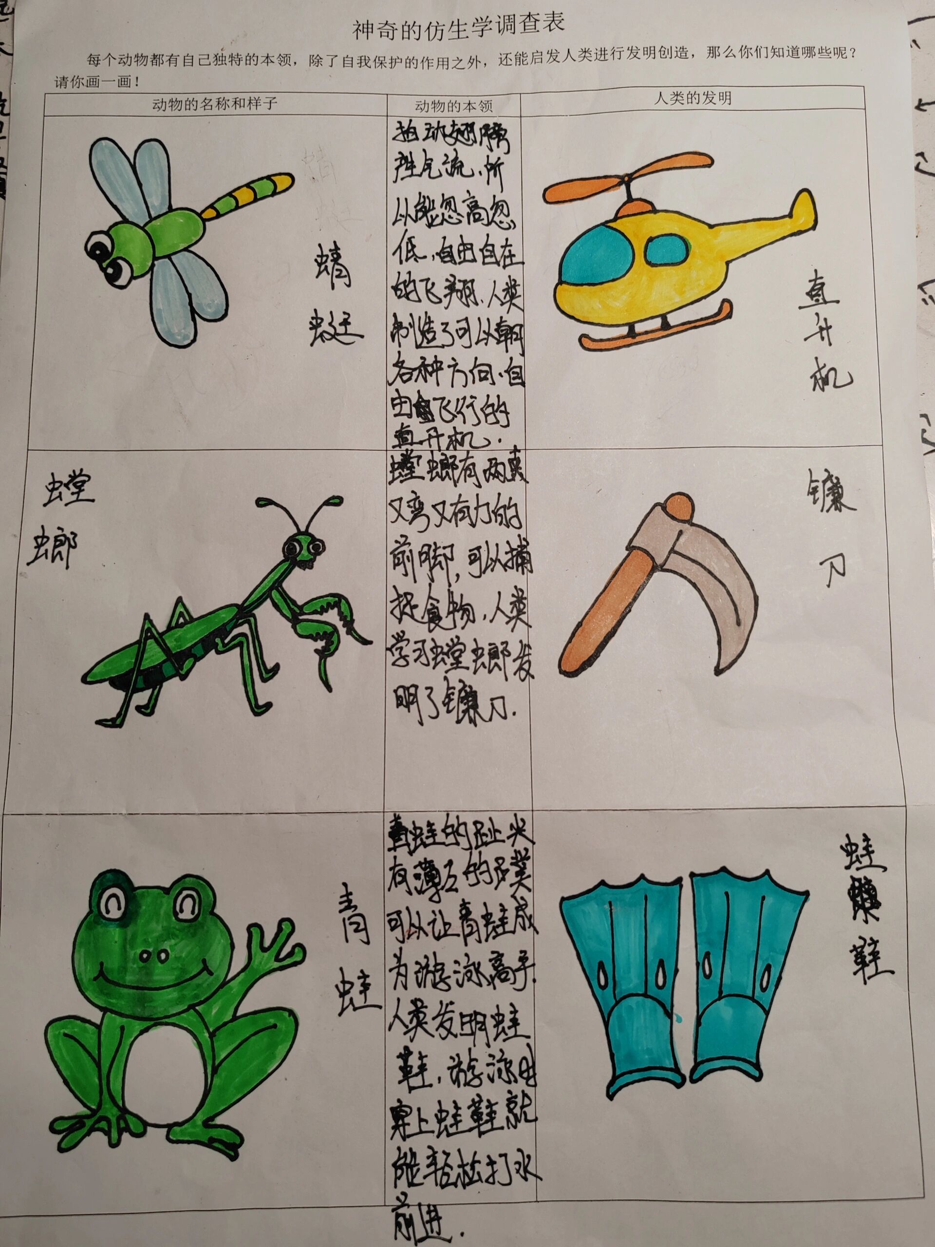 大班《神奇的仿生学》调查表