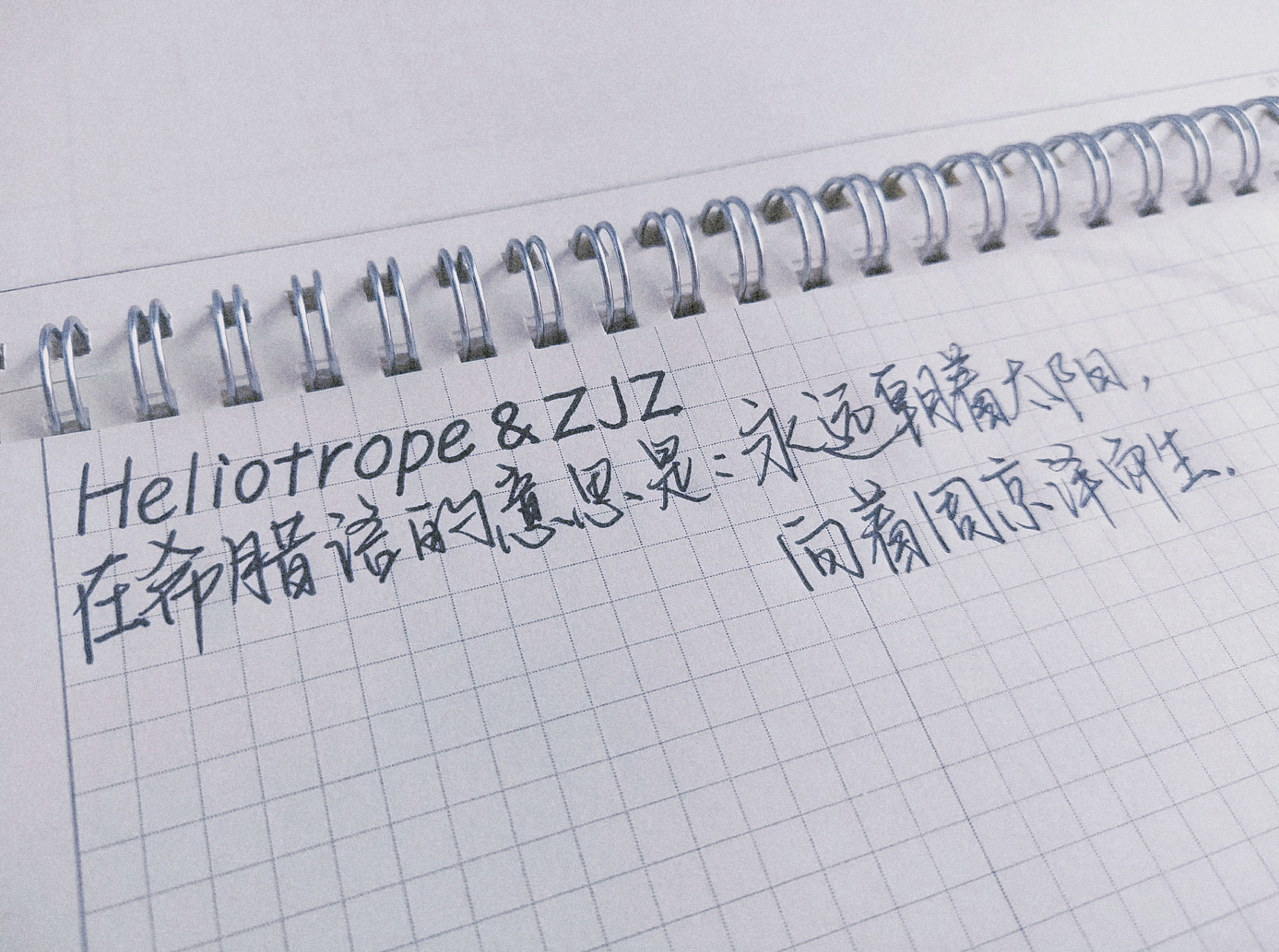 heliotrope&zjz heliotrope&zjz,它在希腊语的意思是永远朝着太阳