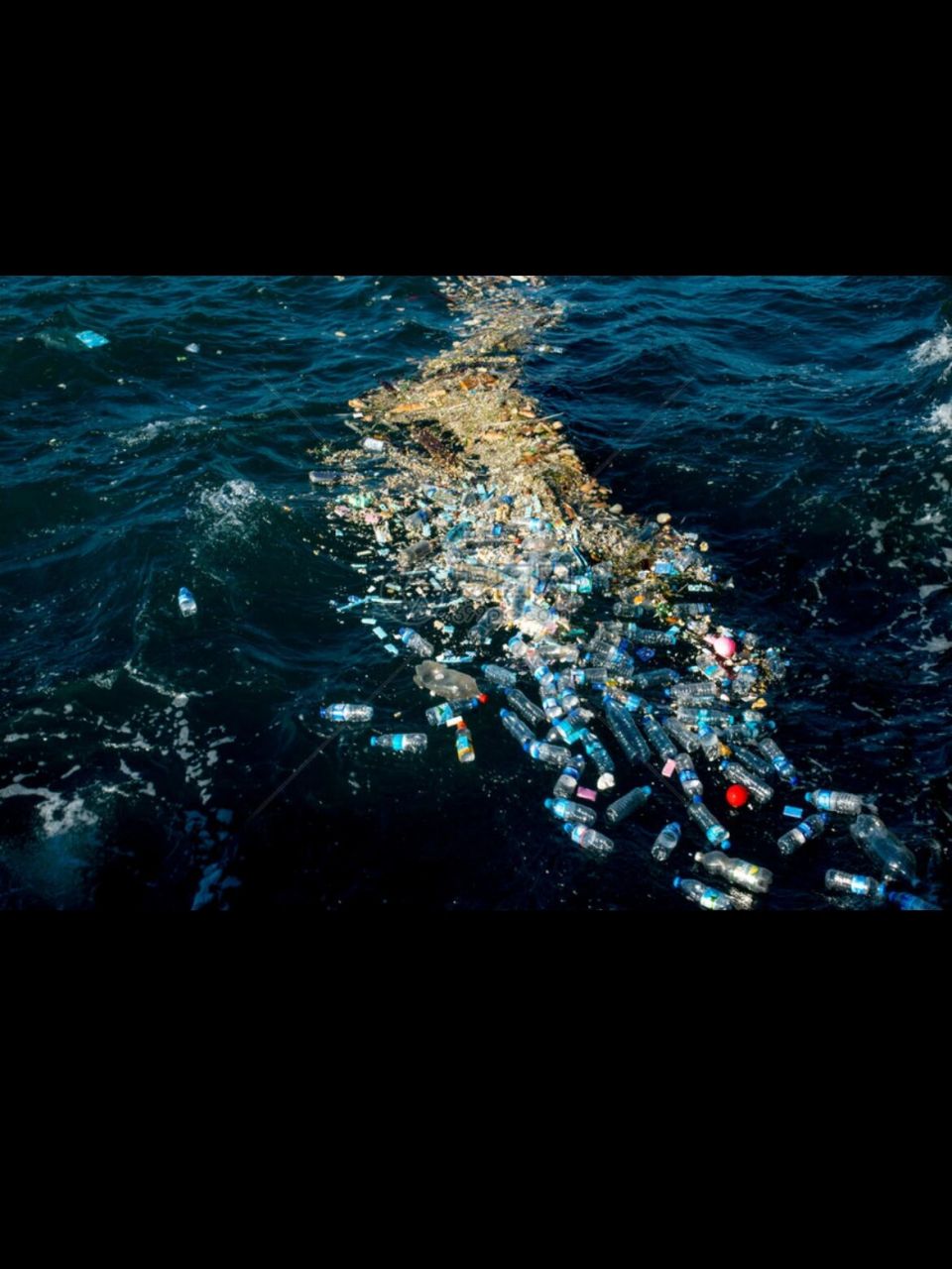 海洋污染·塑料解构 19年画的 关于海洋污染主题的插画 基于p2 p3类似