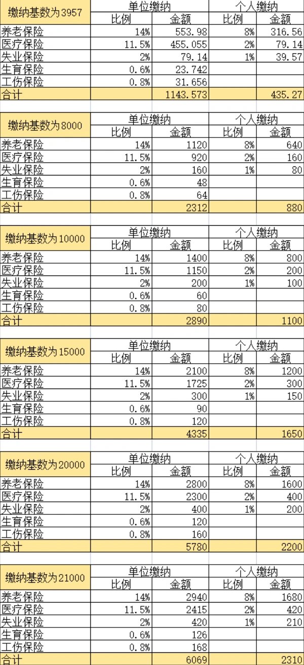 杭州社保缴费明细表图片