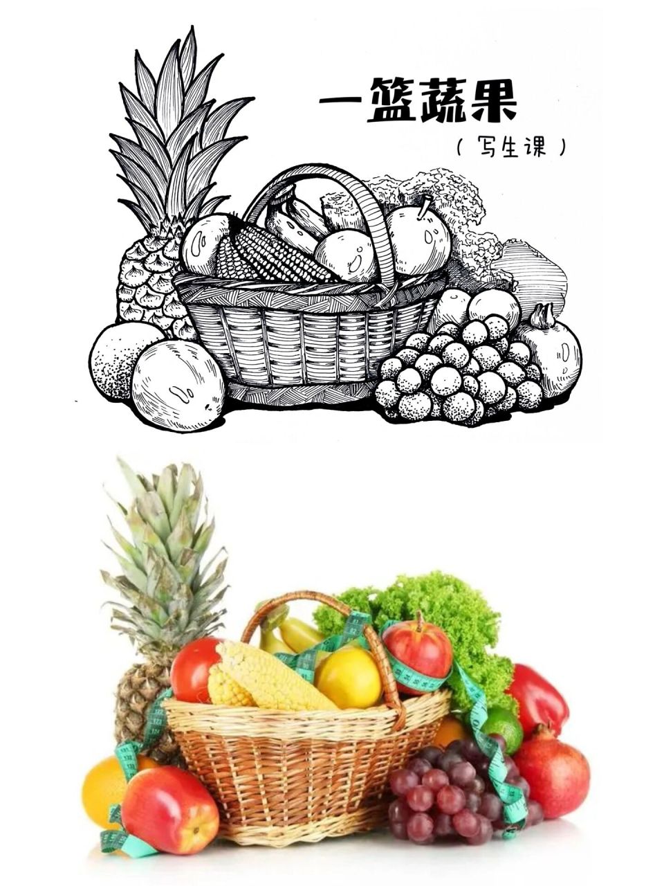 《一篮蔬果》线描写生 线描写生课程真的非常非常需要小朋友的耐心