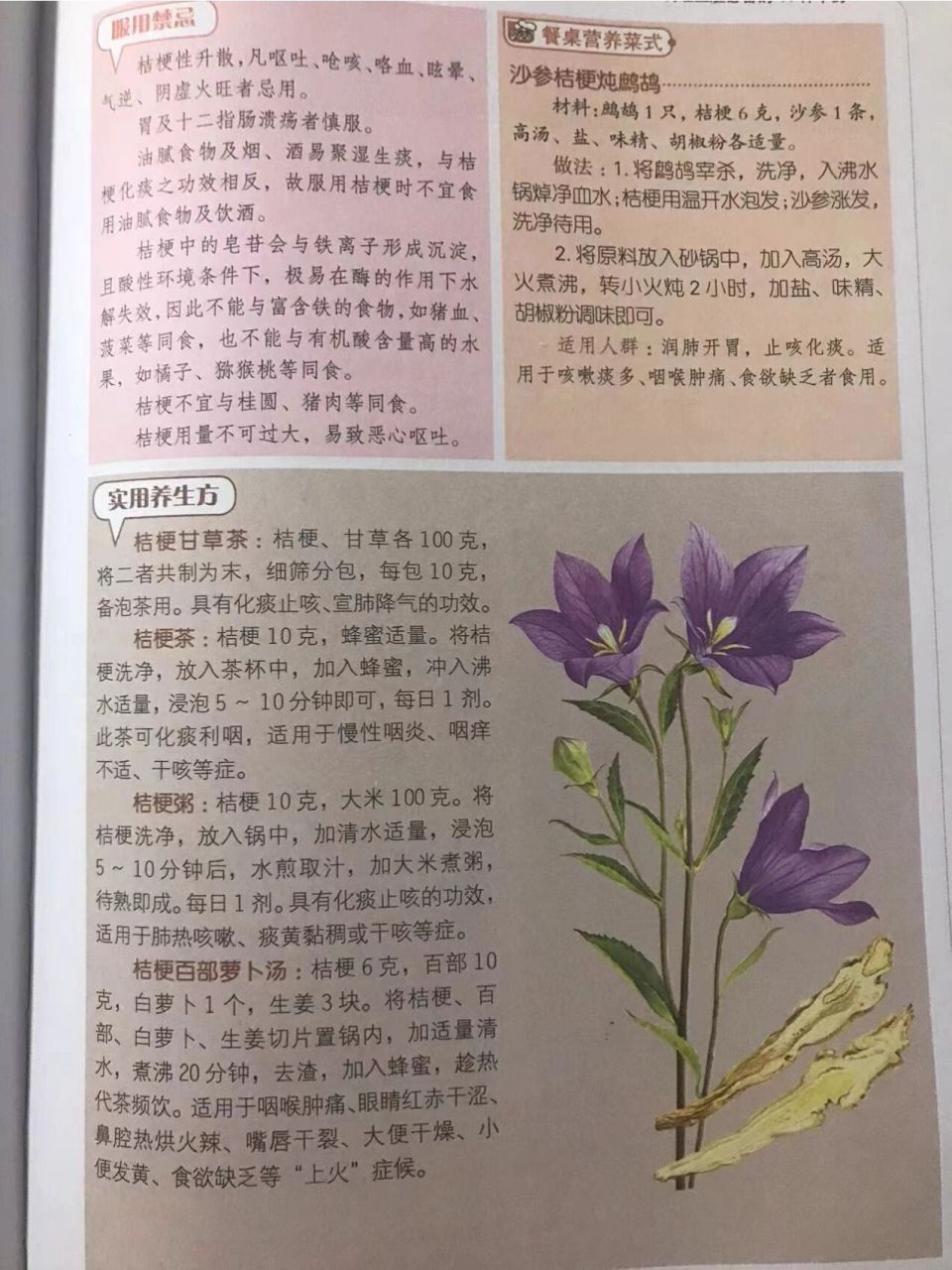 桔梗养生方 桔梗 9696中医养生功效:具有宣肺,利咽,祛痰,排脓等