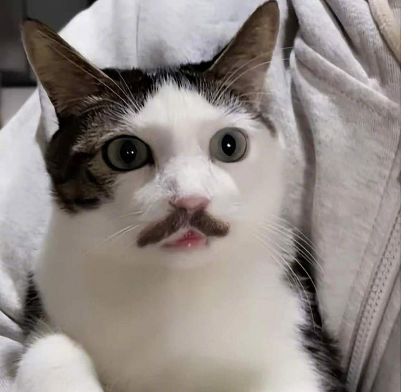 这八字胡修得很美!