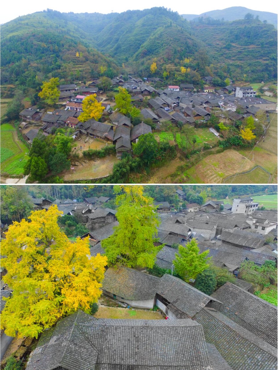 每天认识一个古城村寨|走进湘西明中村 明中村,位于沅陵县荔溪乡的一