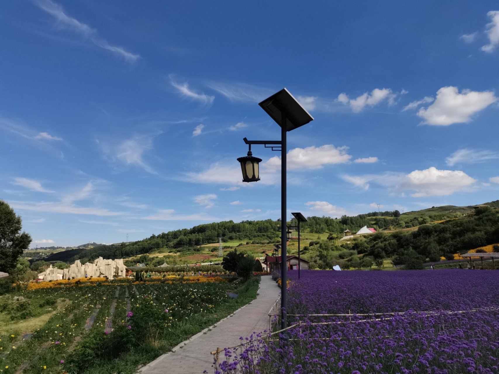 坐标位置:青海省海东市民和县七里花海