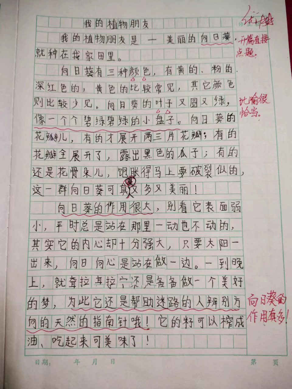 我观察的一种植物300字(观察一种植物的作文350字左右)