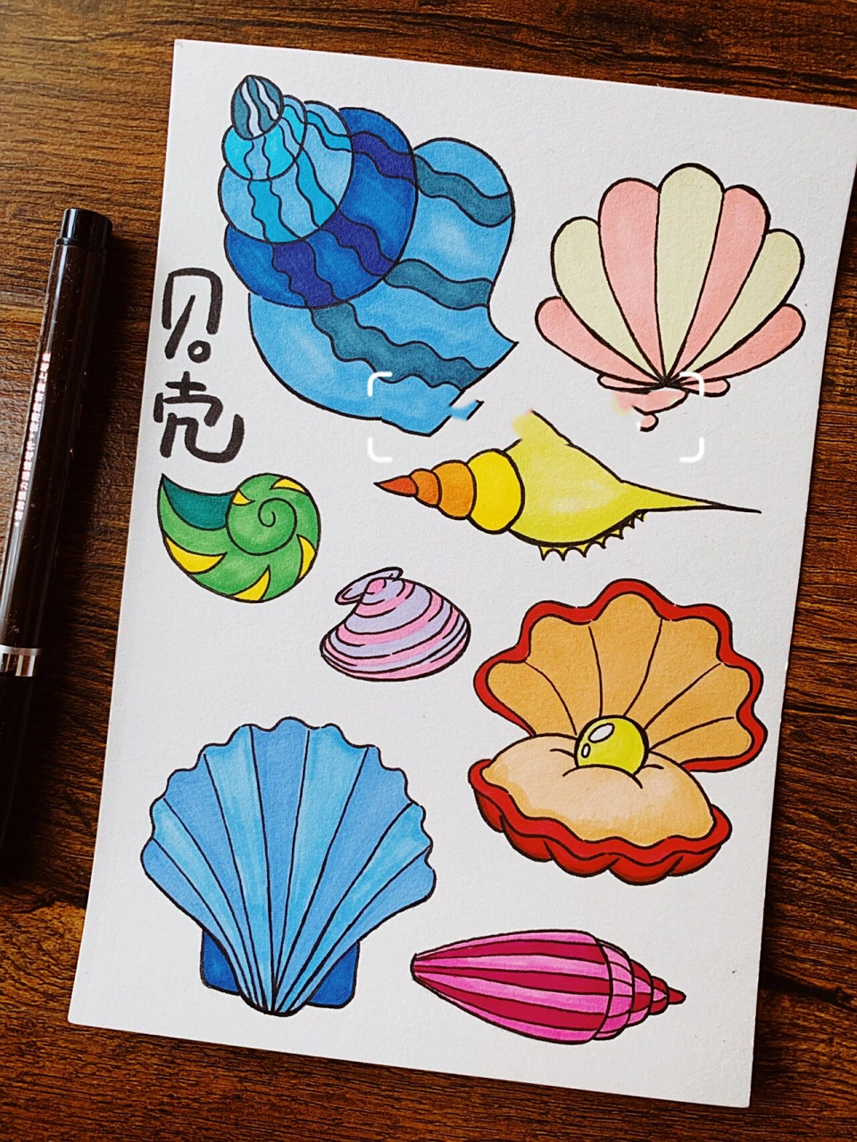 海螺贝壳手帐手绘简笔画素材黑白线稿上色图            生活在大海边