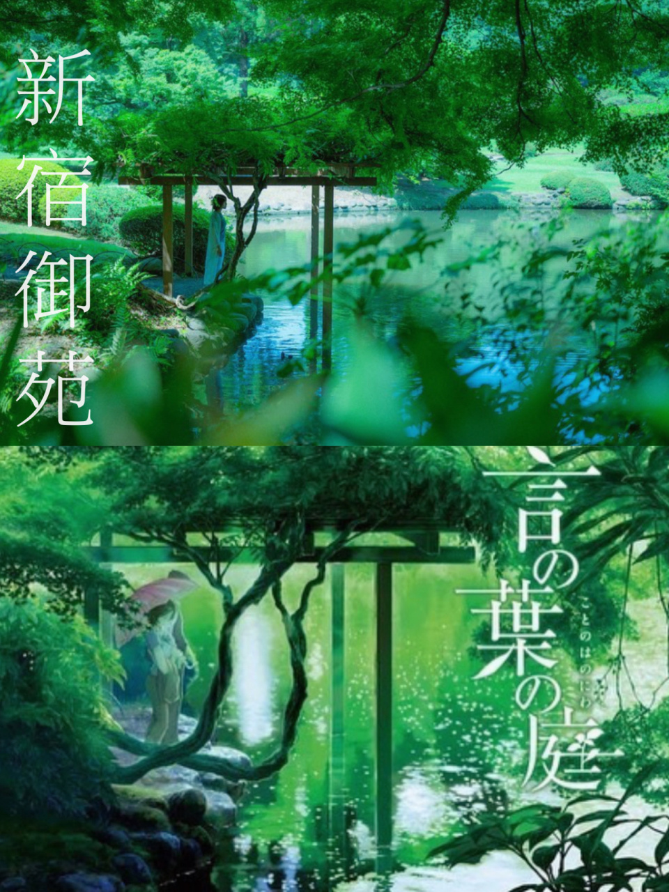 动漫巡礼|新海诚言叶之庭取景地"新宿御苑" 被誉为"现代映像叙事诗"的