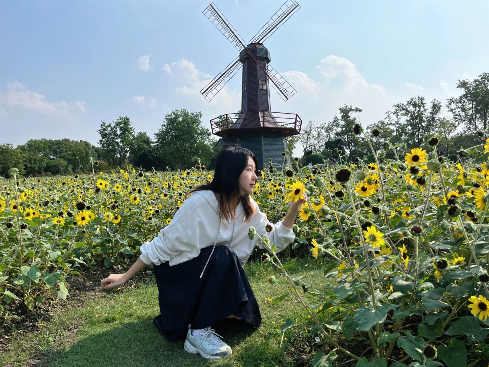 周末逛公园|周浦花海 十月的花儿都开好啦 周浦花海 十月赏花季!