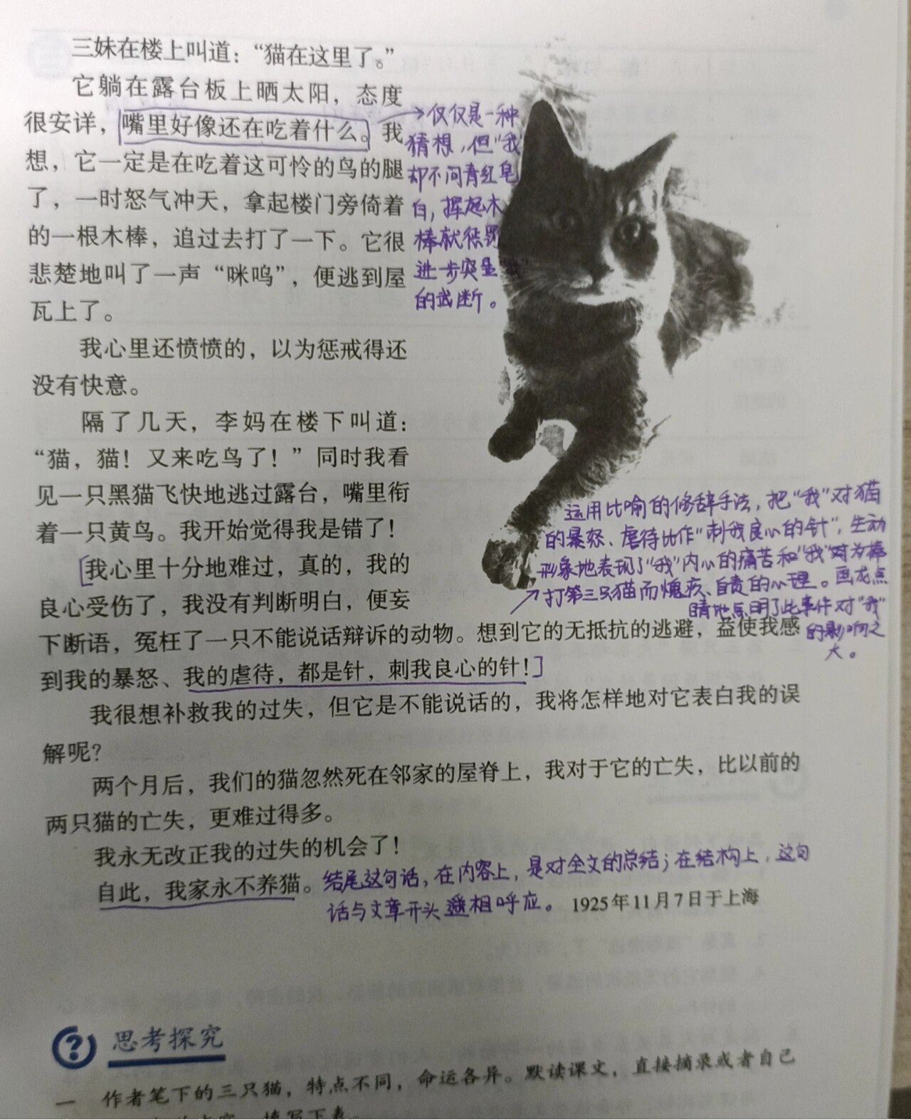 16课猫的笔记图片图片