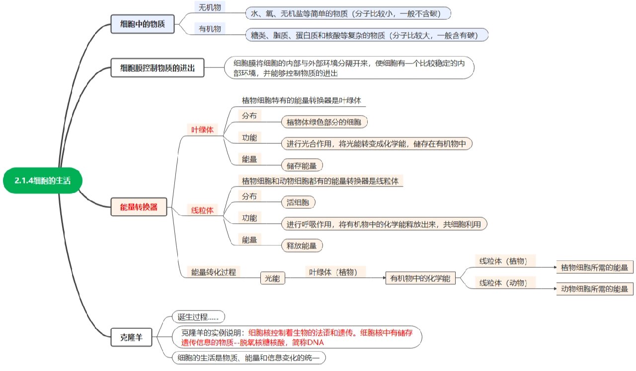 七年级上册生物第二单元思维导图/笔记