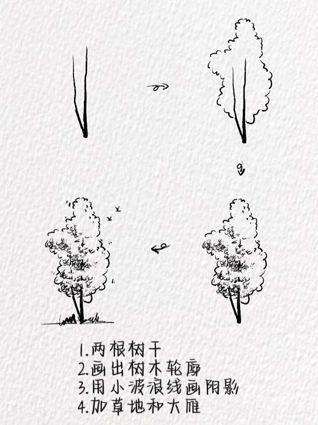 树木简笔画~(含教程)