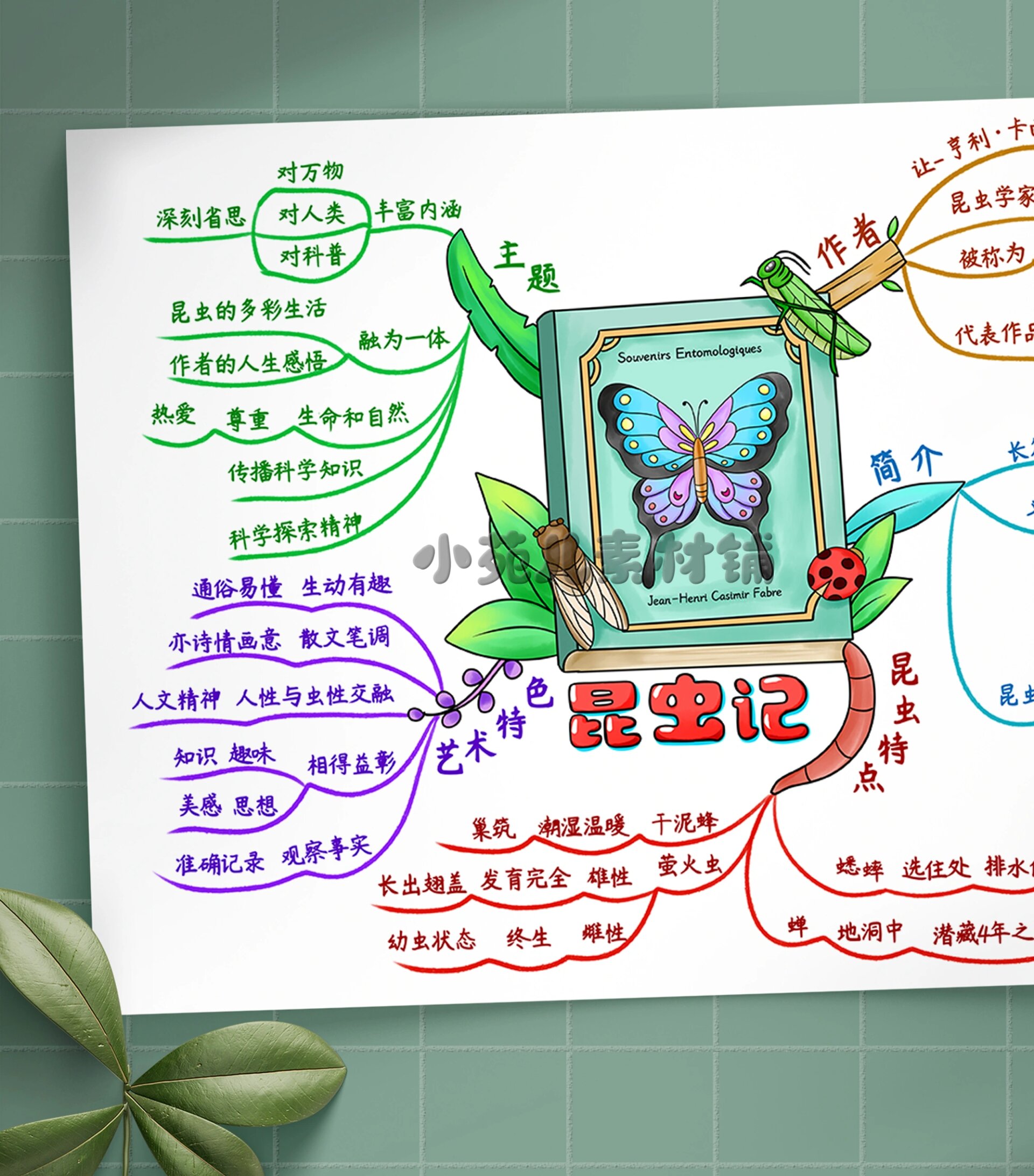 b336《昆虫记》思维导图读书.@渡河的船家的动态