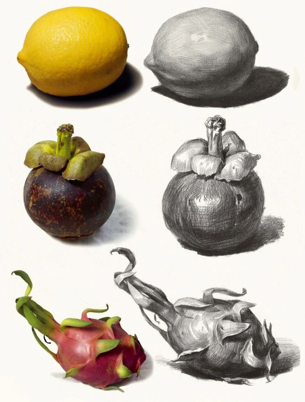 素描静物水果单体范例