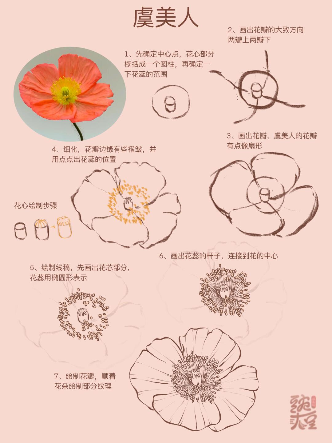 虞美人的画法来啦