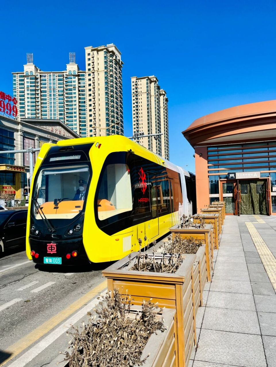 31免费坐智轨 08春天到了,哈尔滨新区的智轨终于试运行了!
