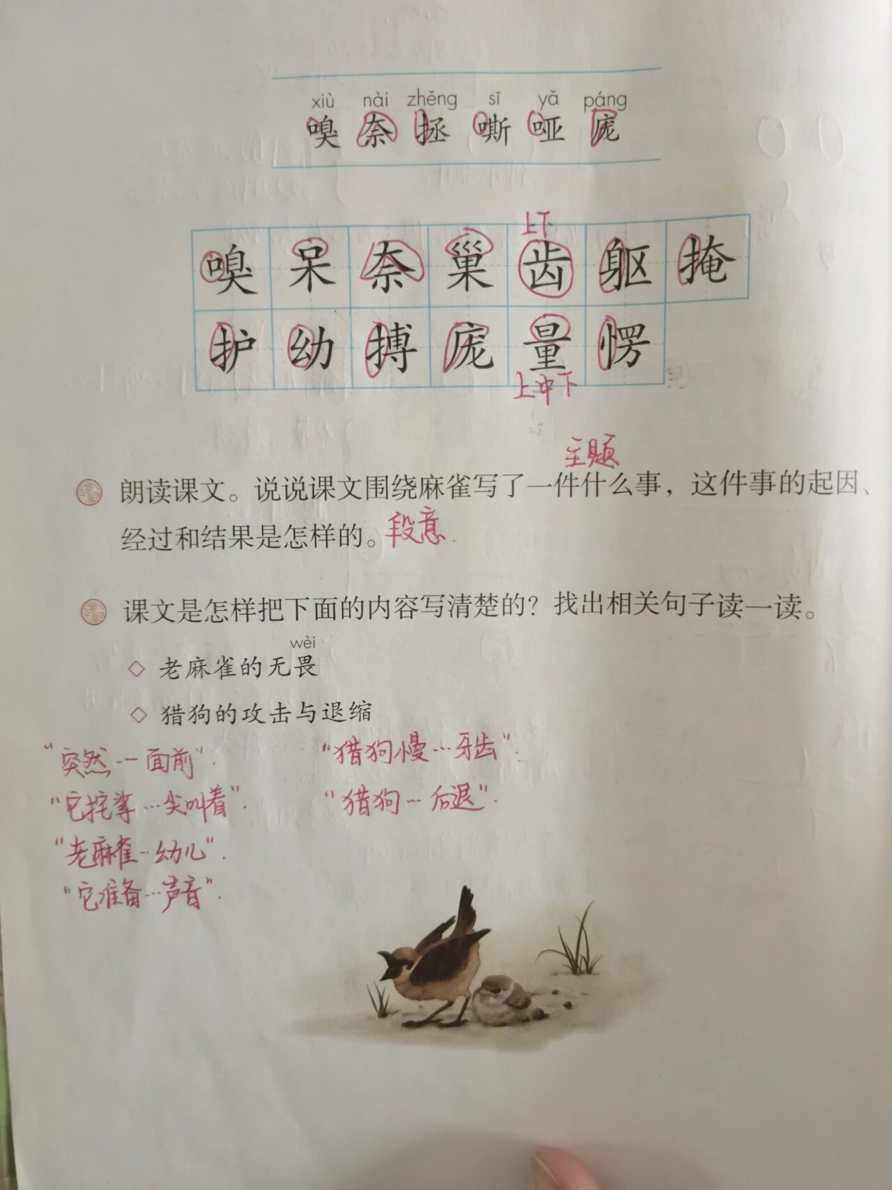 雀字组词 注音图片