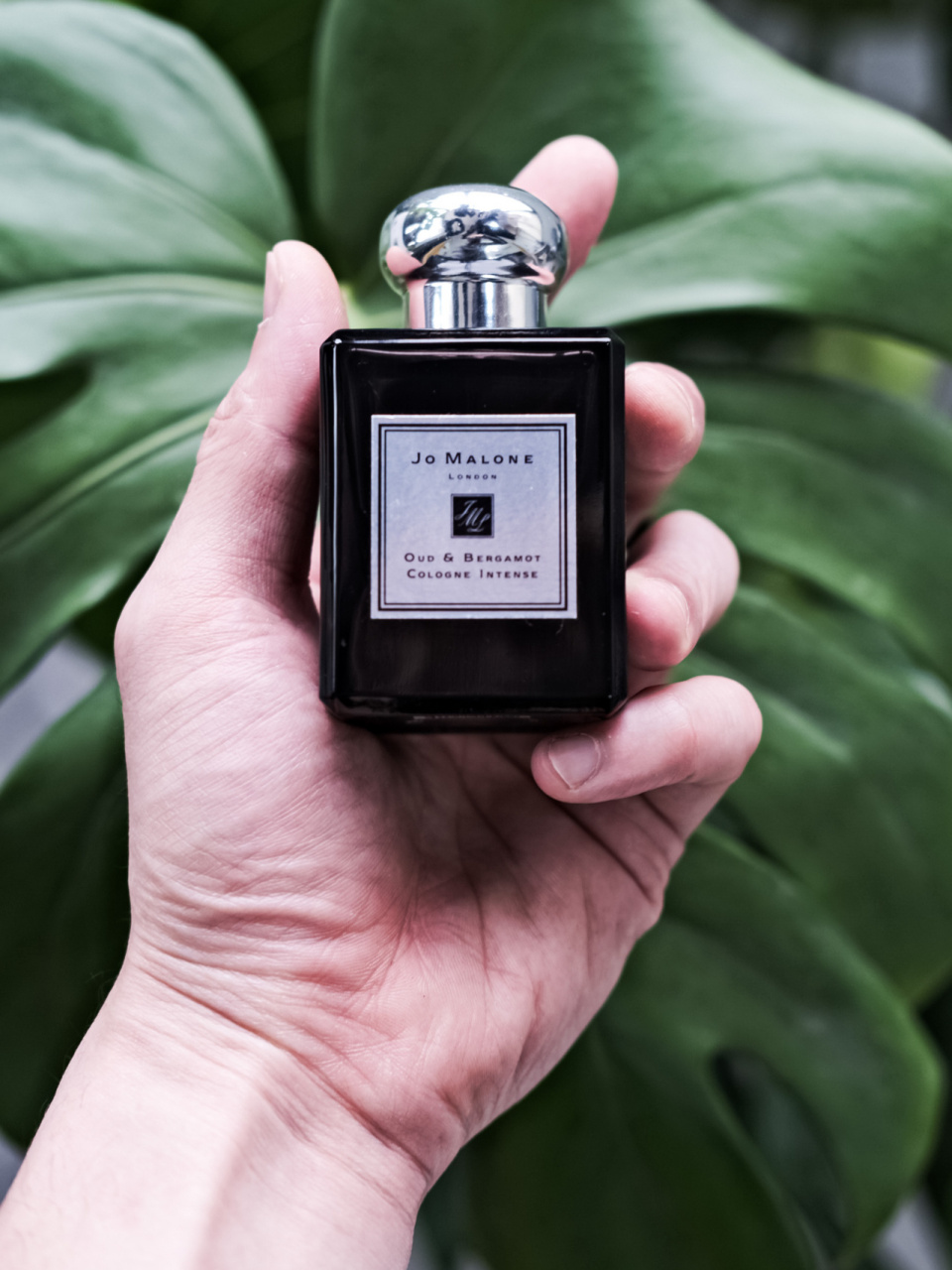 日常男士西装,必配香水,分享下我的一周香水吧 11566菲拉格慕uomo