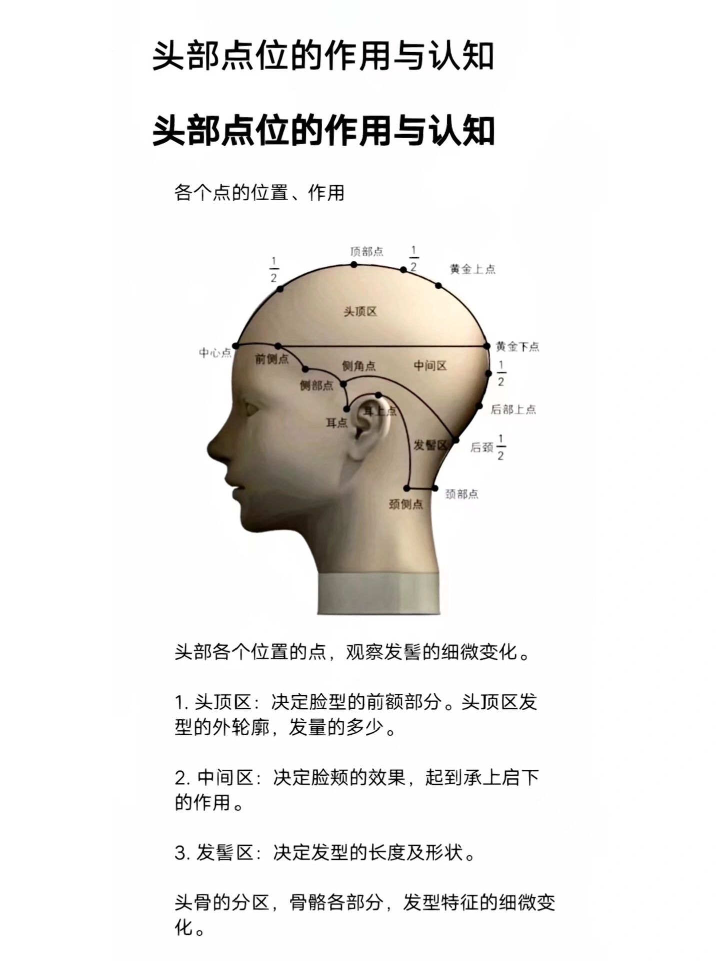 美发教程头部点位的作用头部分区基础