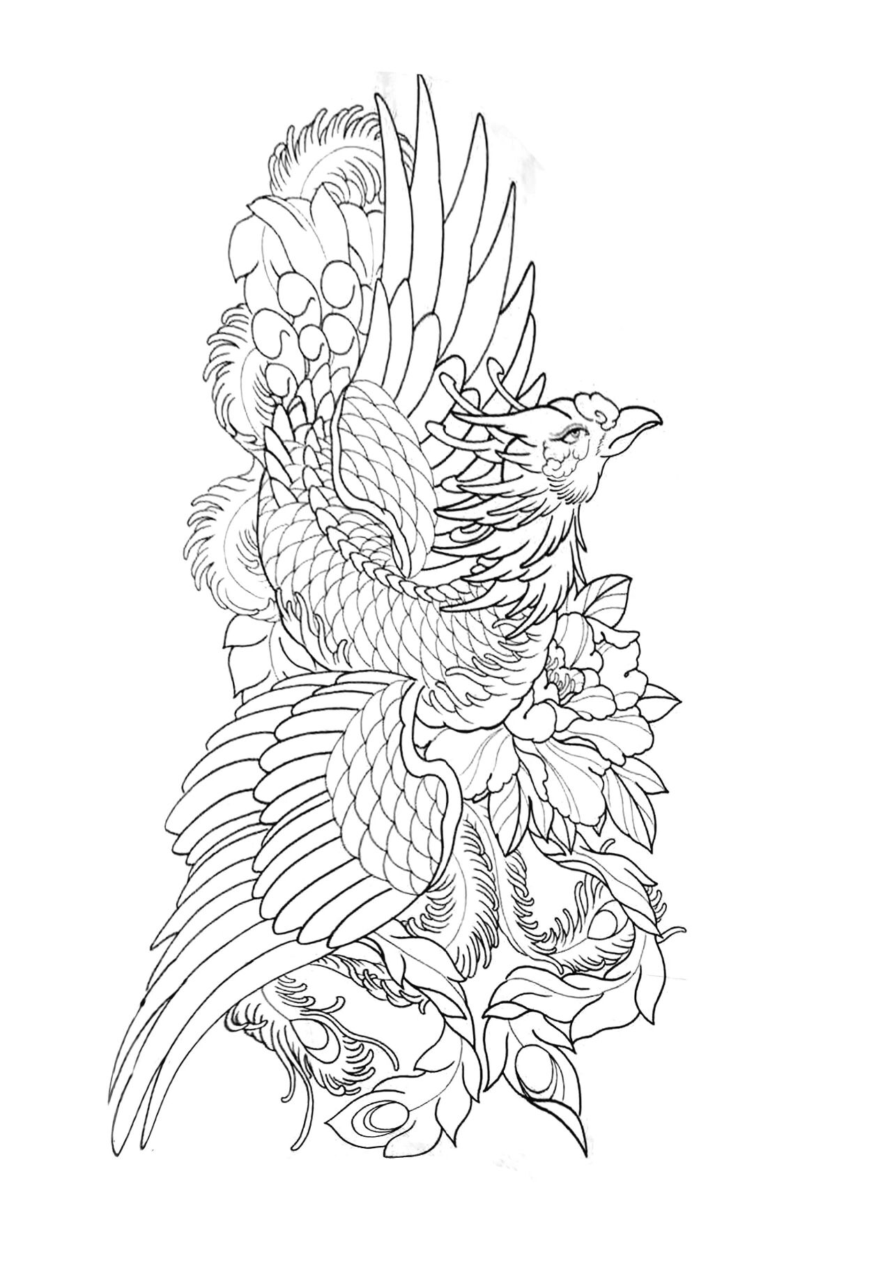 凤凰纹身手稿图案收藏(线稿