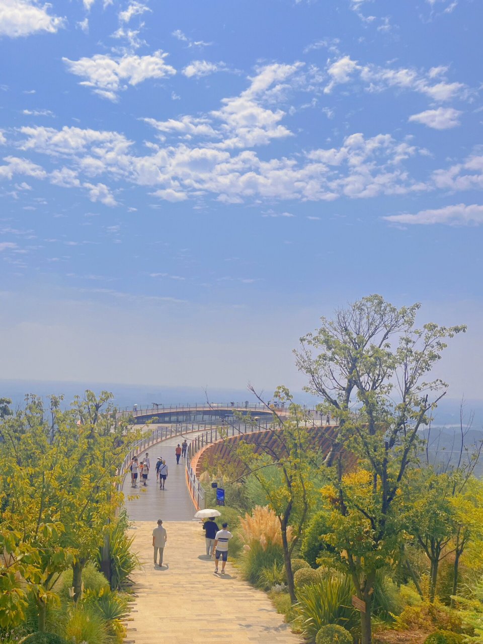 成都遛娃|4a景区无门票77风景宜人步行友好 新晋打卡地:龙泉山森林