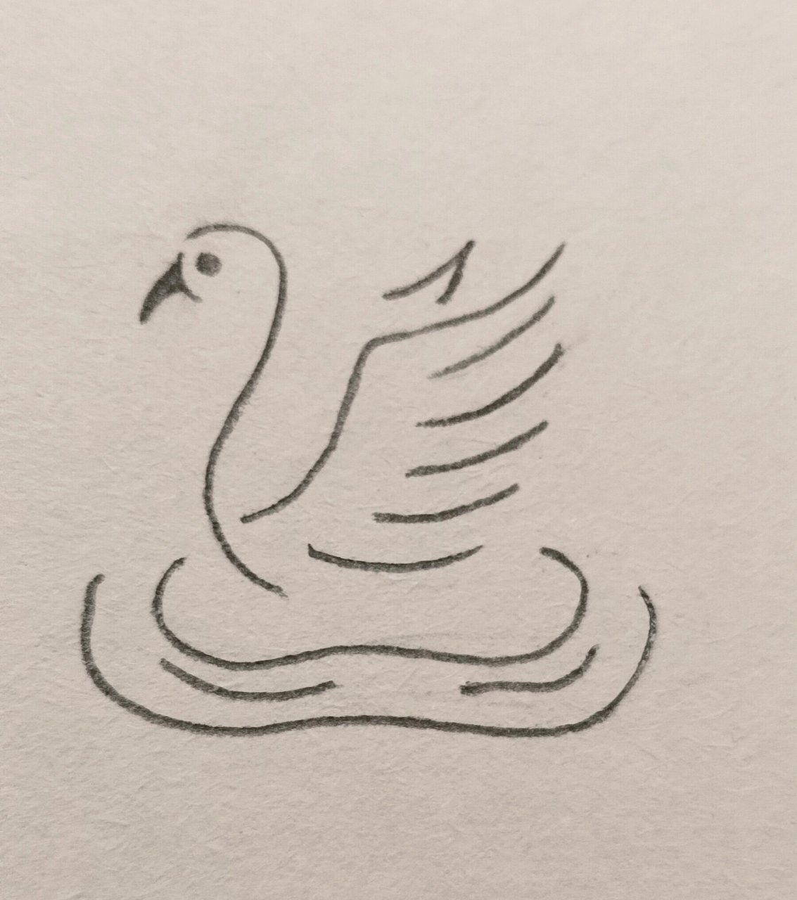 天鹅简笔画 临摹