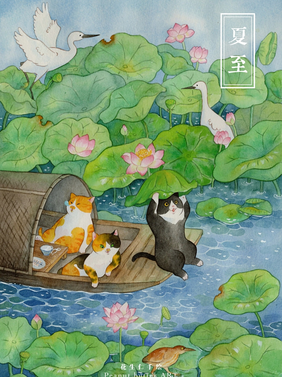 夏至 | 91水彩 手绘插画 猫咪的世界 96 花开半夏,又是莲灿时.