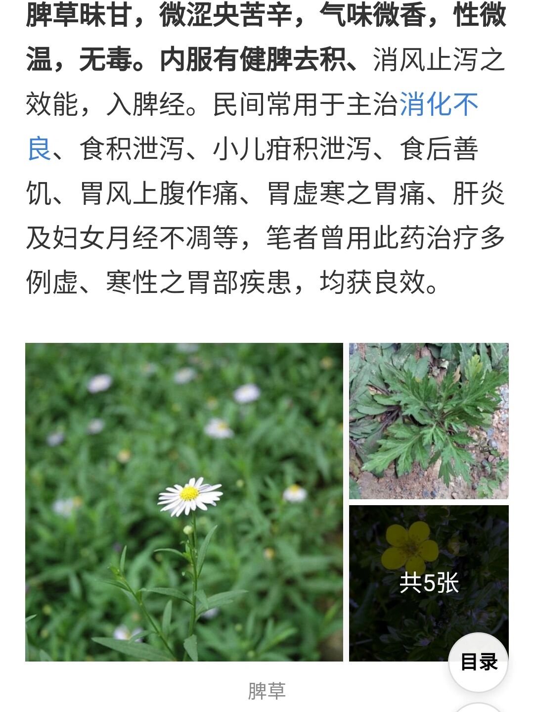 功效太厉害!