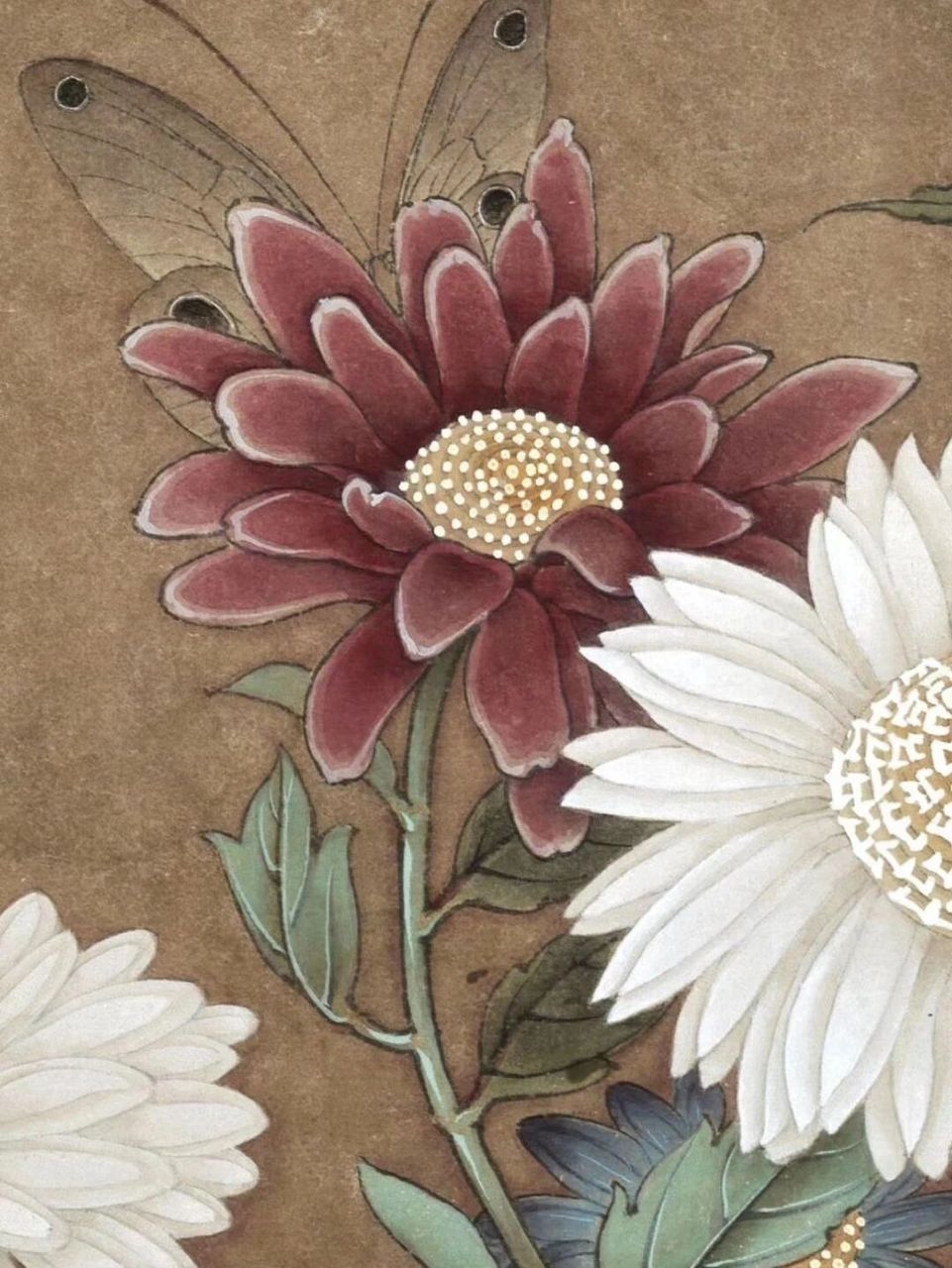 工笔画步骤分享(宋《菊丛飞蝶图》) 李晓明《临宋菊丛飞蝶图》绘制