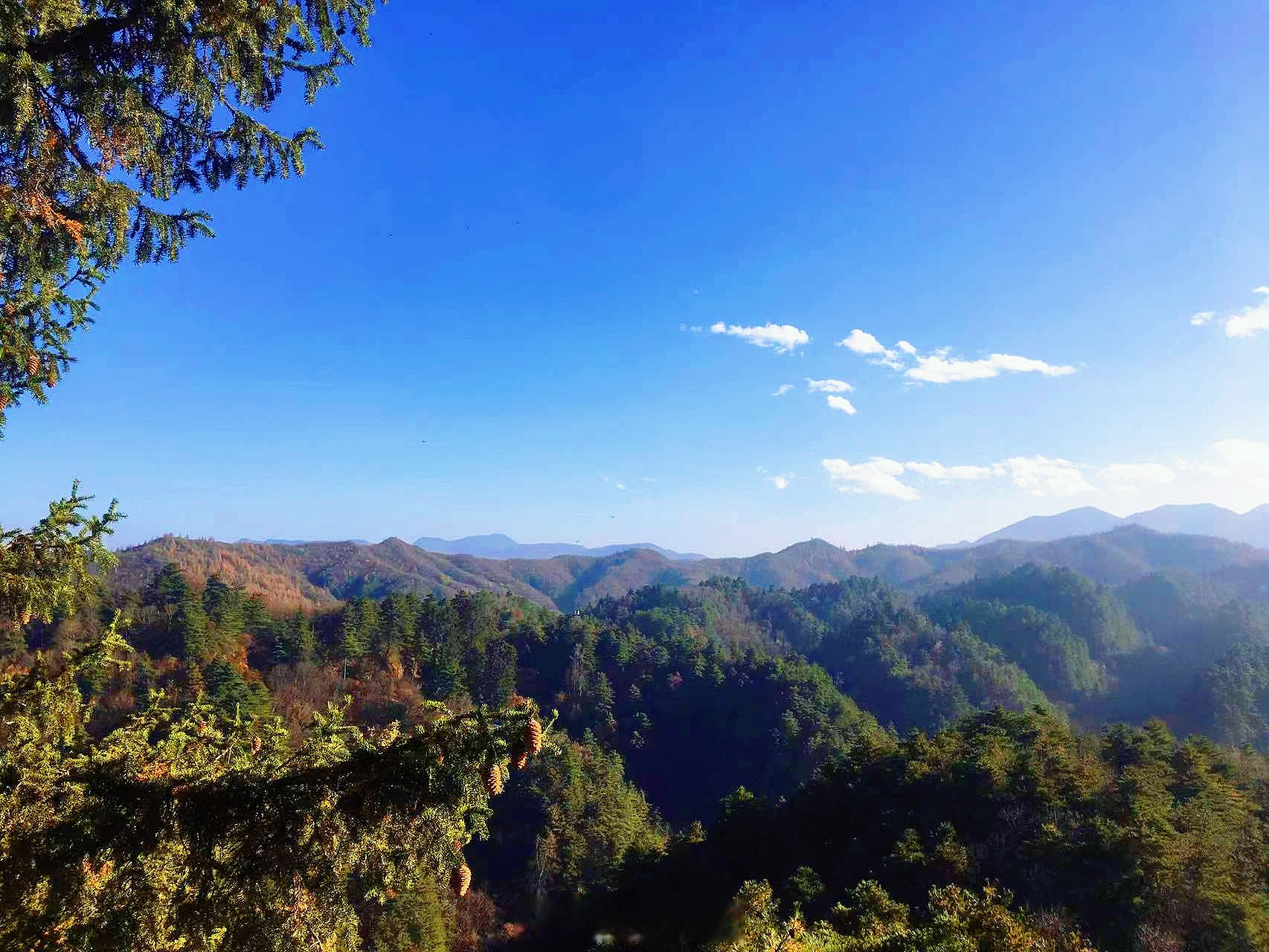 甘肃秋天有多美# 首阳山位于渭源县东南34公里的莲峰镇张家滩村和