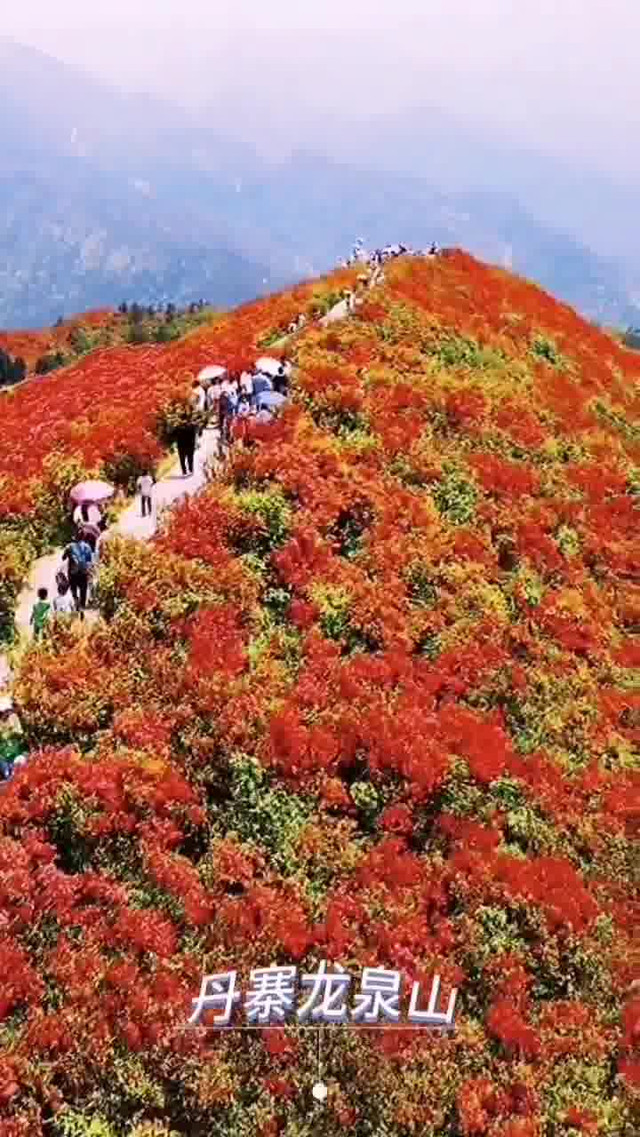 丹寨龙泉山风景区门票图片