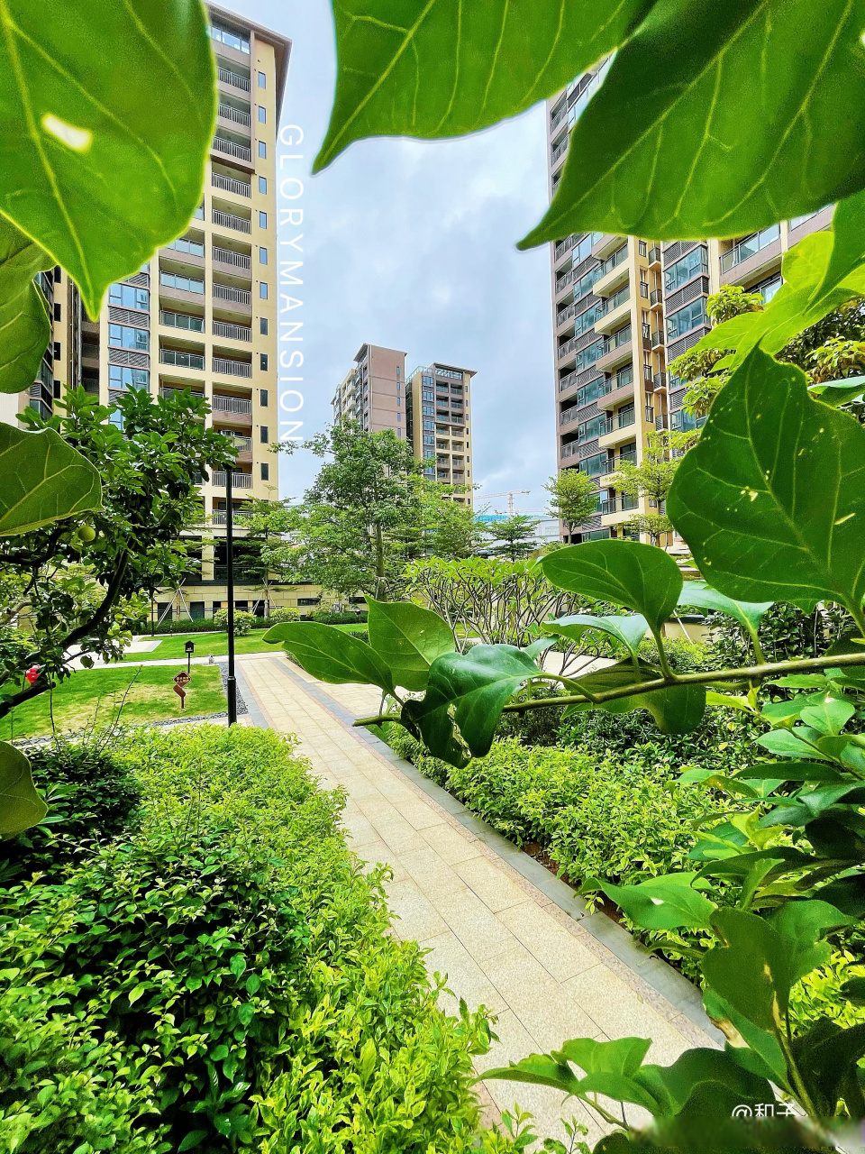 兴围华府# 小区实拍照片!