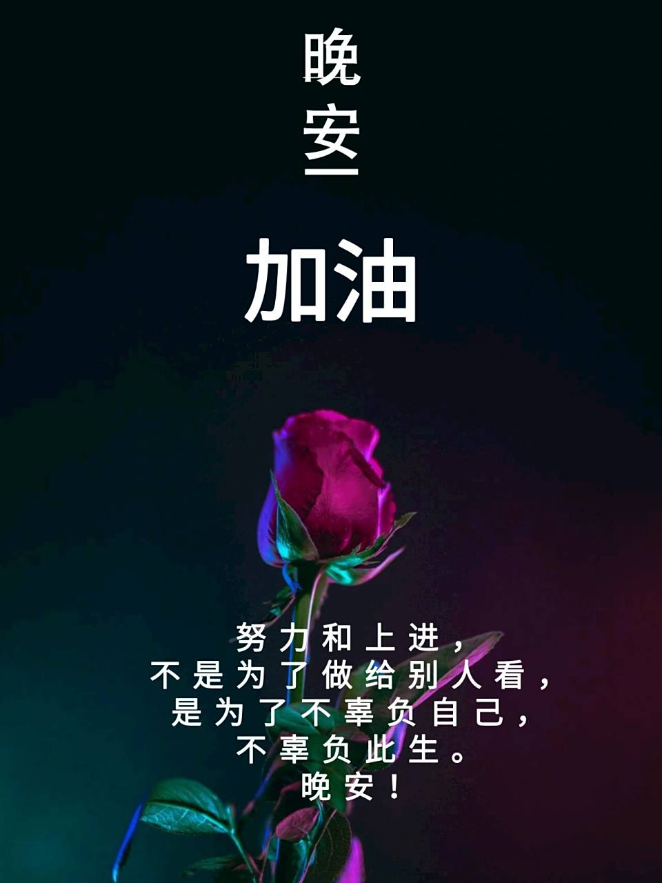 晚安心语正能量一句话_晚安心语励志语录 1,世上没有绝望的处境,只有