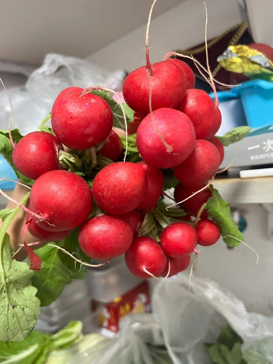 东北特产,小水萝卜,蘸酱菜到货!