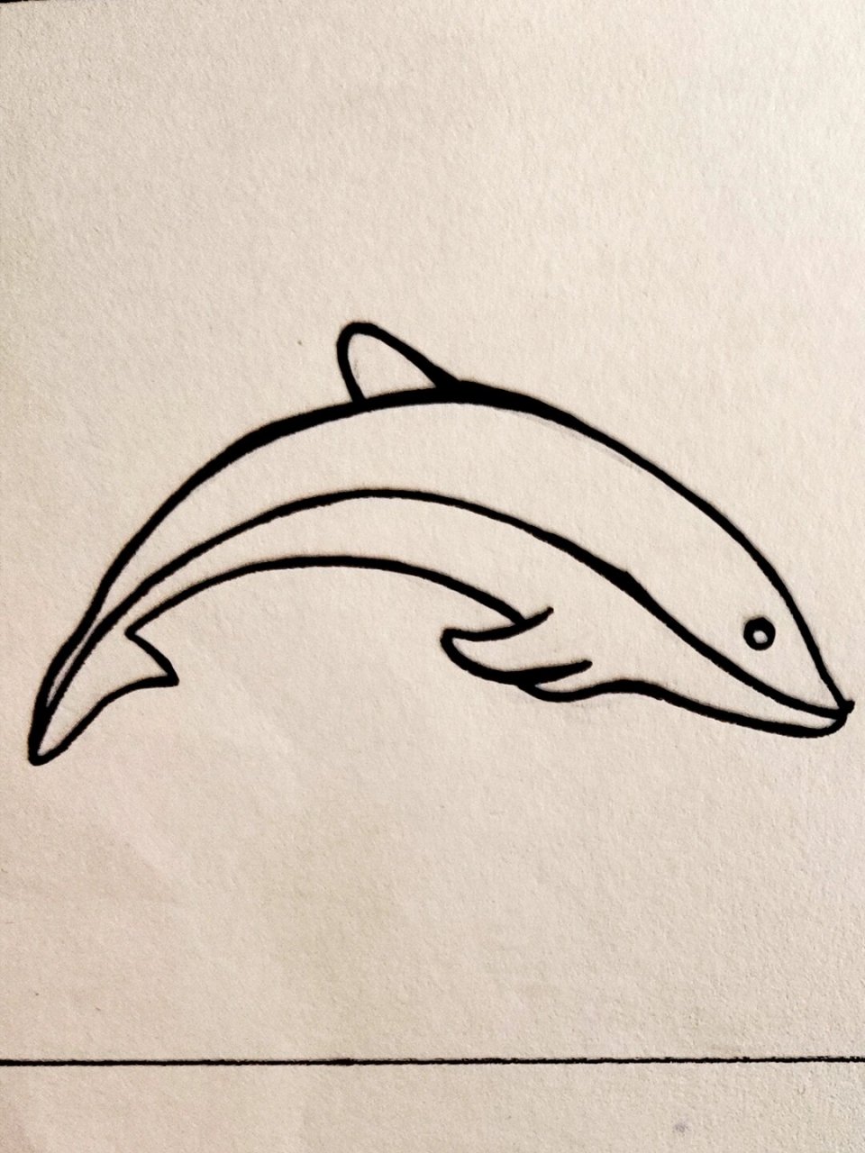 Q版海豚简笔画图片