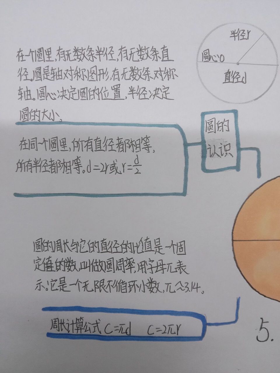六年级上册数学第五单元《圆》思维导图