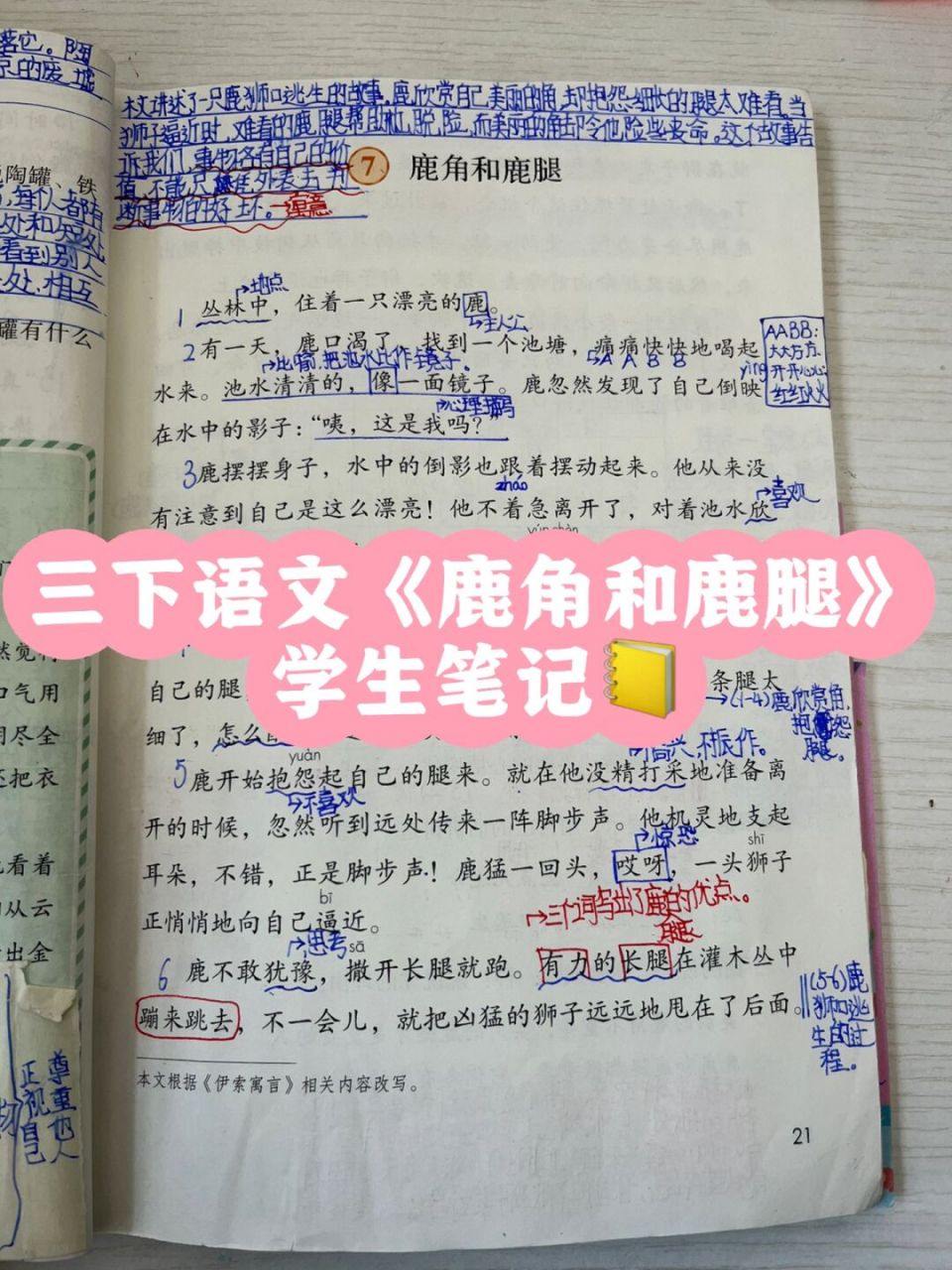 学生笔记 #小学语文# #三年级语文# #小学语文课堂笔记# #鹿角和鹿腿