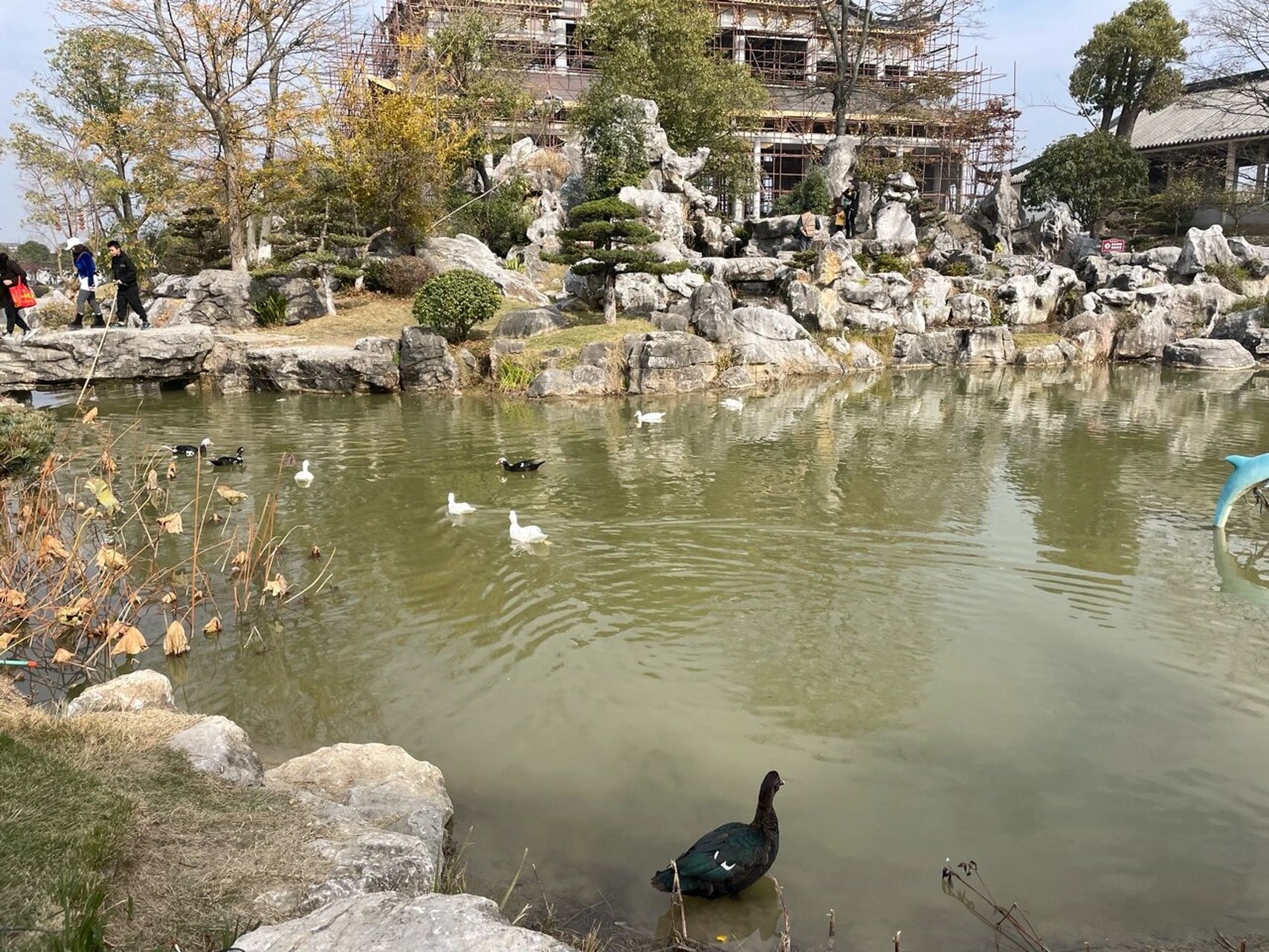 天门市海龙岛景区图片