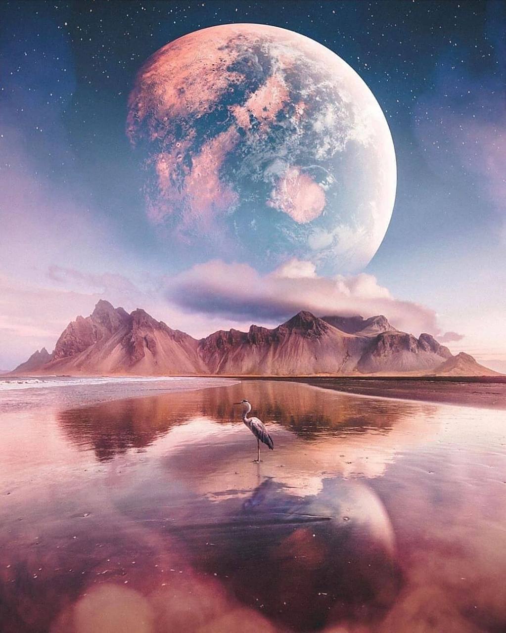 珍藏版-空灵纯净-的朋友圈配图 这都是我平时认真搜集的图片,空灵纯净