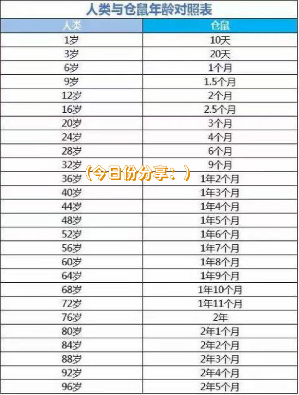 仓鼠,金丝熊年龄对照表 大家可以参照一下看看自家的鼠宝宝相当于人类