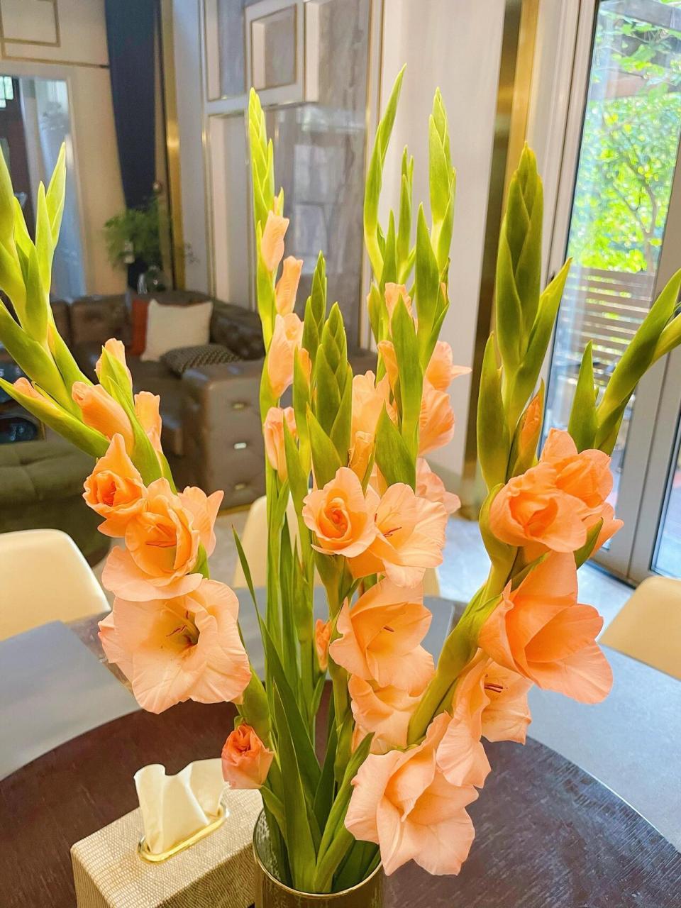 剑兰的寓意: 福禄长寿,康宁高升,剑兰节节高升的花朵,代表吉祥美好