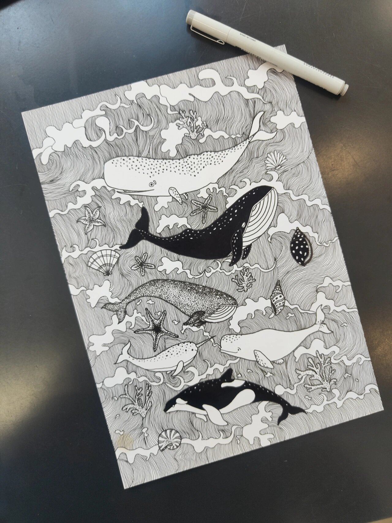 绘画练习/黑白装饰画/海底世界/临摹 手抽筋系列原作者真的很厉害