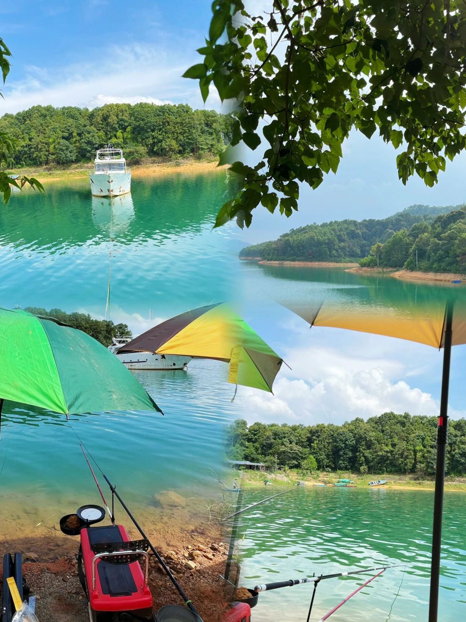 河源万绿湖垂钓91 在一个山谷里面,里面有很多附近来钓鱼的,也有人