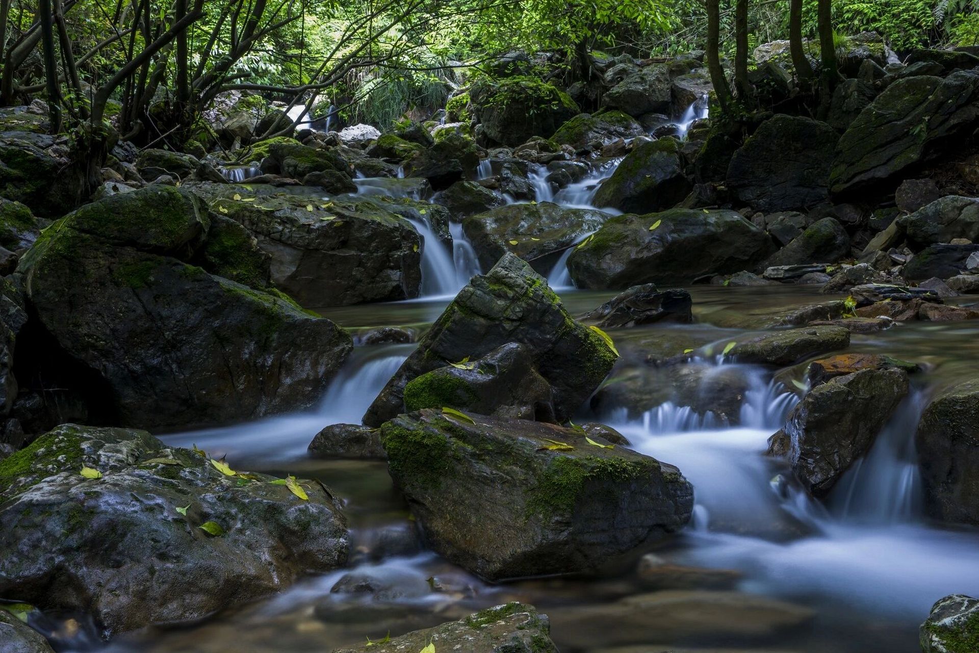 河南5日游攻略 【老君山】 老君山位于河南省洛阳市嵩县,是世界地质